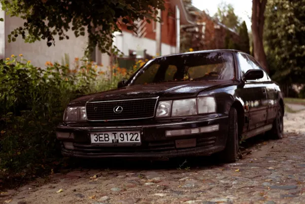 WinFest Kaszinó Android/iOS Alkalmazás